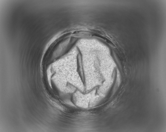 X0000059250246200511111648