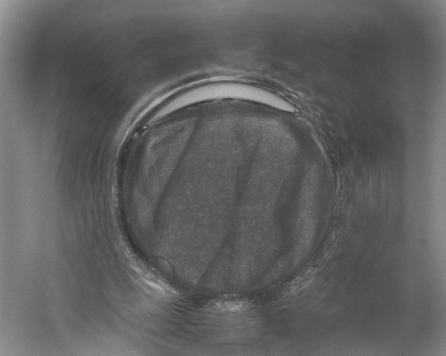 X0000059250247200511111648