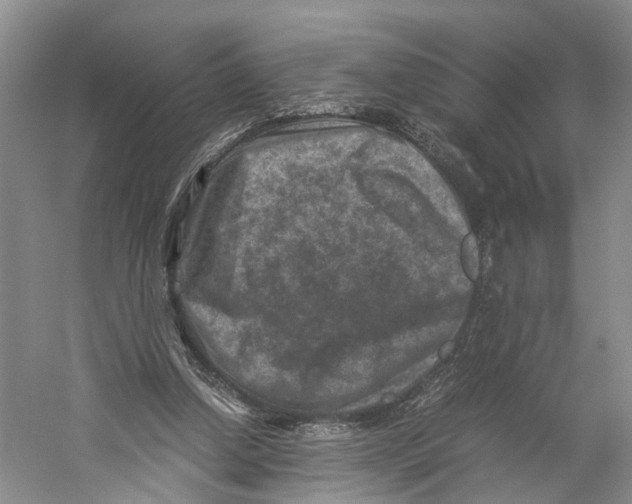 X0000059250250200511111648