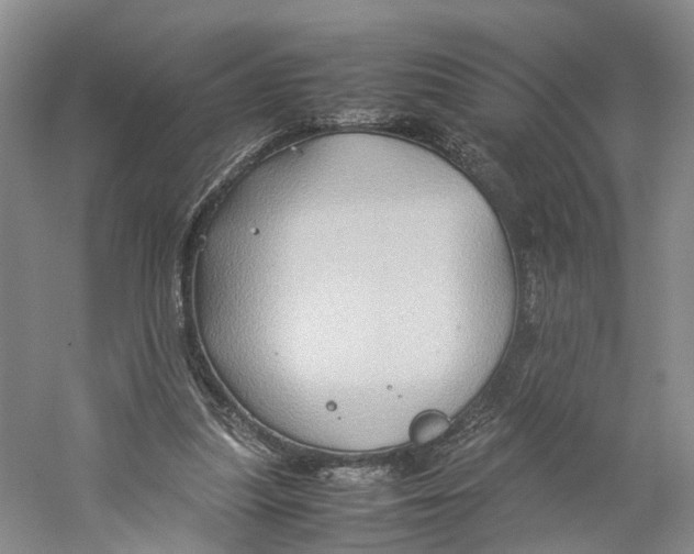 X0000059250251200511111648