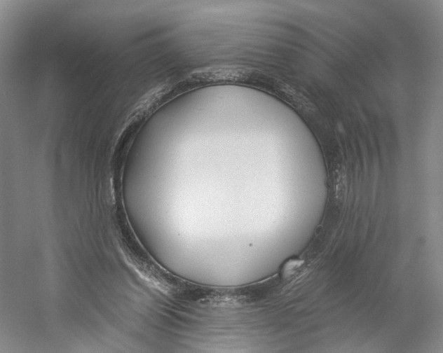 X0000059250254200511111649