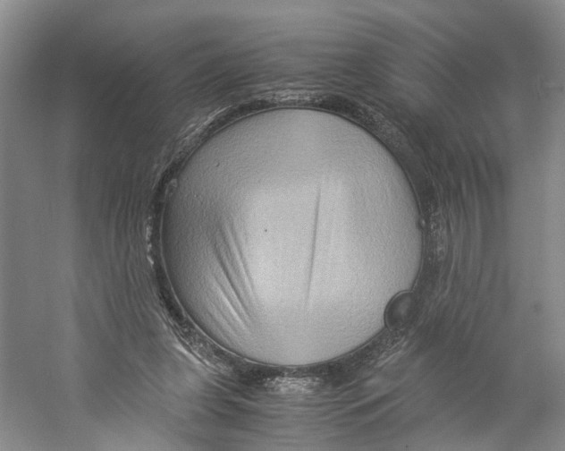 X0000059250255200511111649