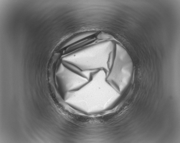 X0000059250256200511111649