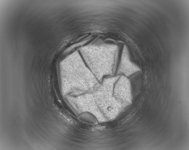 X0000059250257200511111649