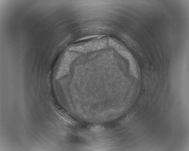 X0000059250258200511111649