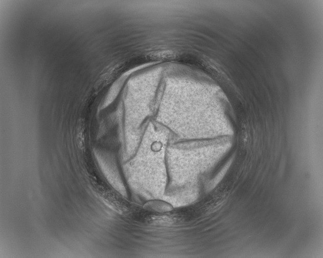 X0000059250259200511111649