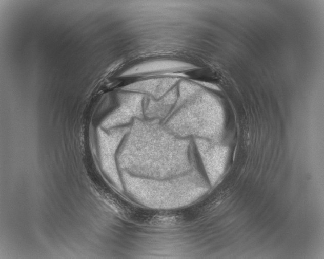 X0000059250260200511111649