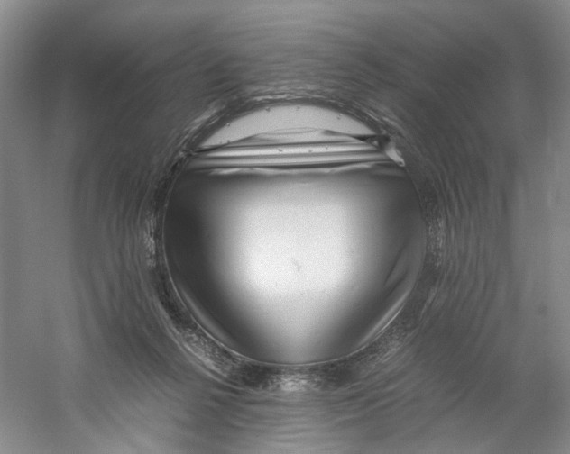 X0000059250264200511111649