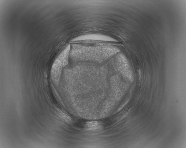 X0000059250269200511111649