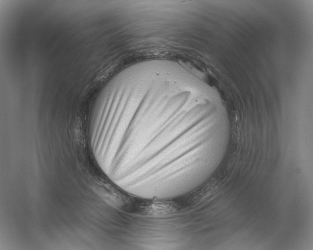 X0000059250270200511111649