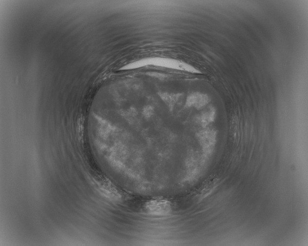 X0000059250271200511111649