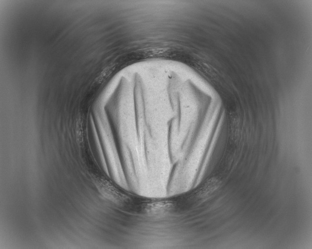 X0000059250274200511111649