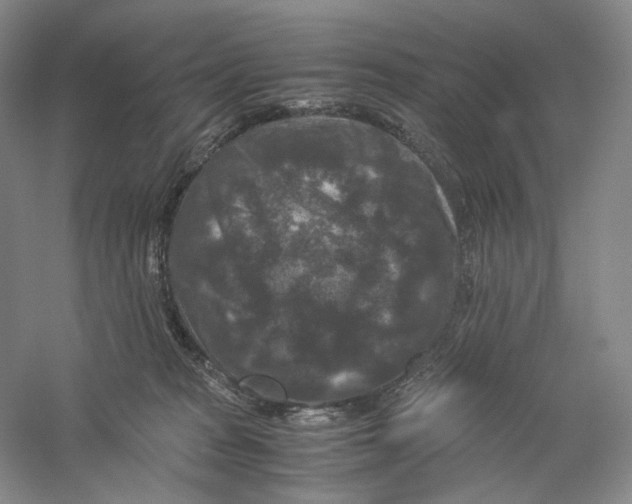 X0000059250277200511111649