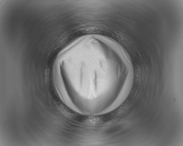 X0000059250278200511111649