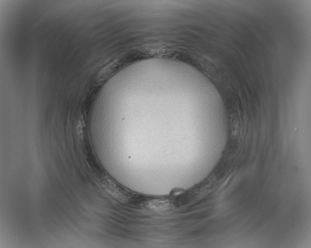 X0000059250279200511111649