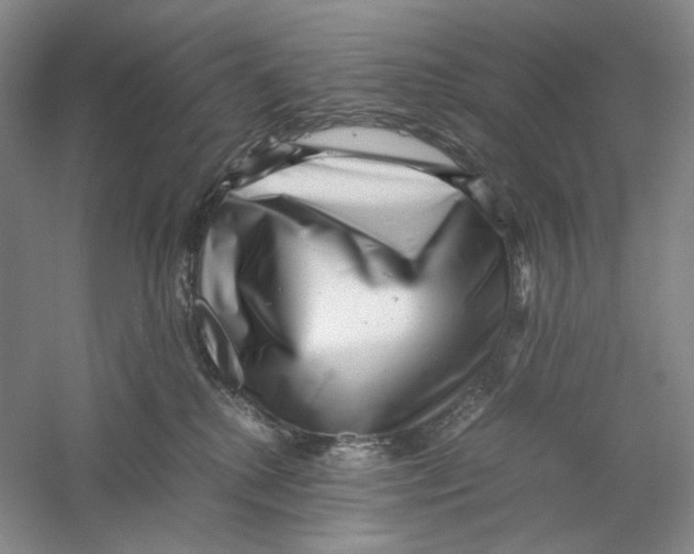 X0000059250280200511111649