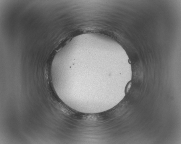 X0000059250282200511111649