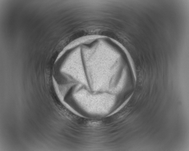 X0000059250283200511111649