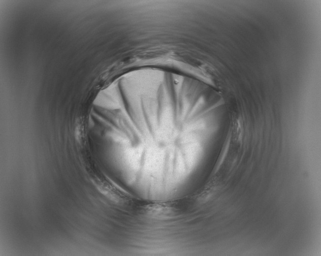 X0000059250284200511111649