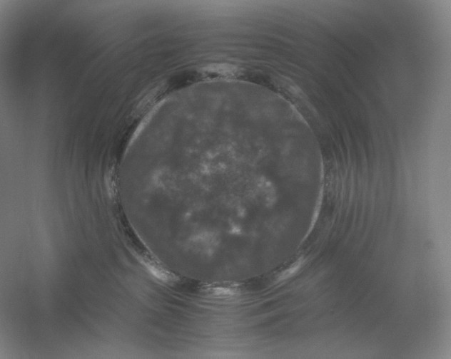 X0000059250285200511111649