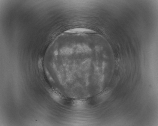 X0000059250286200511111649