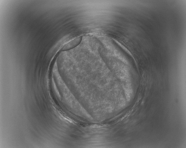 X0000059250290200511111648