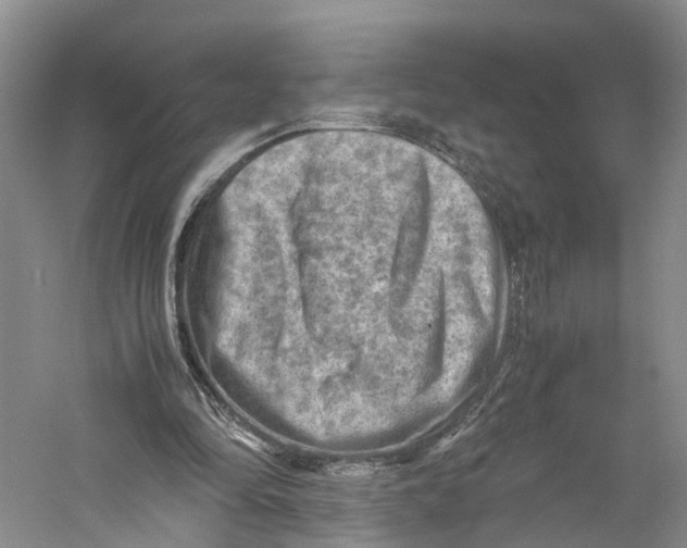 X0000059250294200511111648