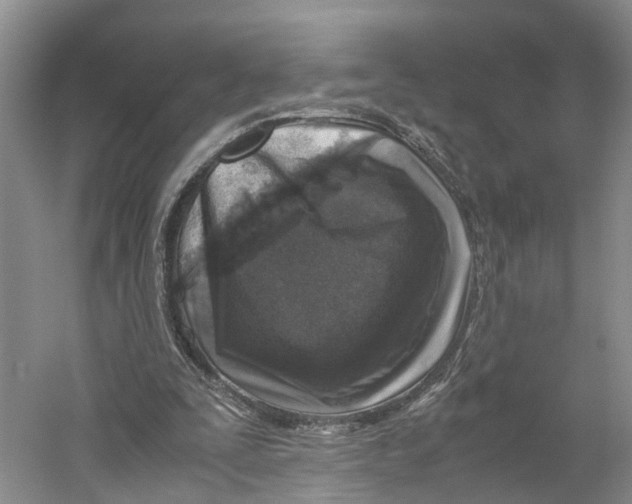 X0000059250295200511111648