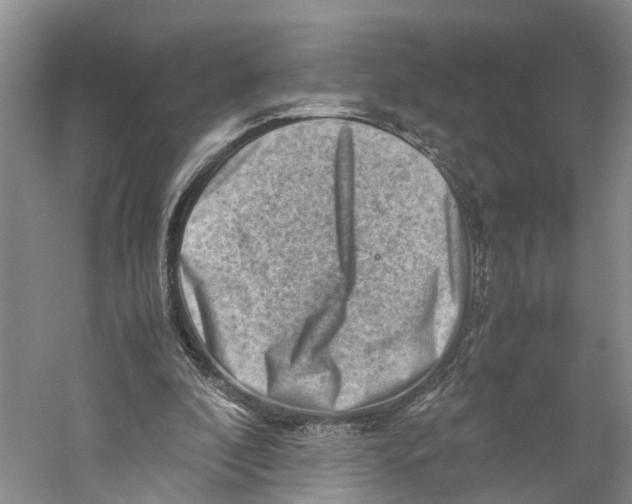 X0000059250296200511111648