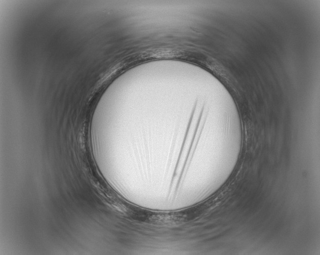 X0000059250297200511111648