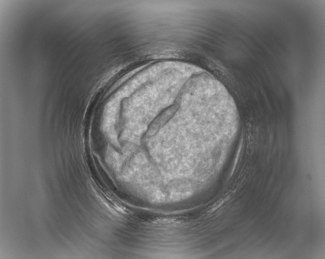 X0000059250298200511111648