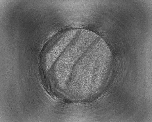 X0000059250299200511111648