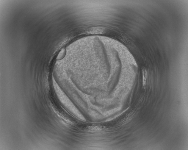 X0000059250300200511111648