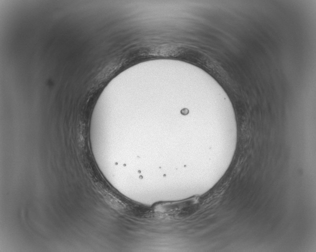 X0000059250305200511111648