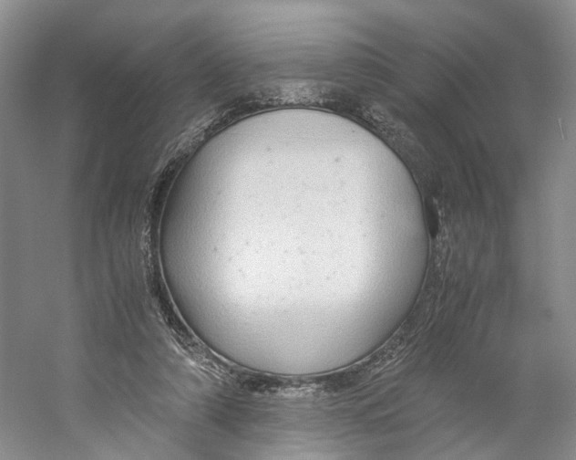 X0000059250306200511111648