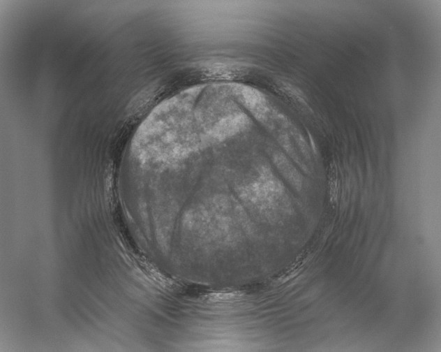 X0000059250314200511111648