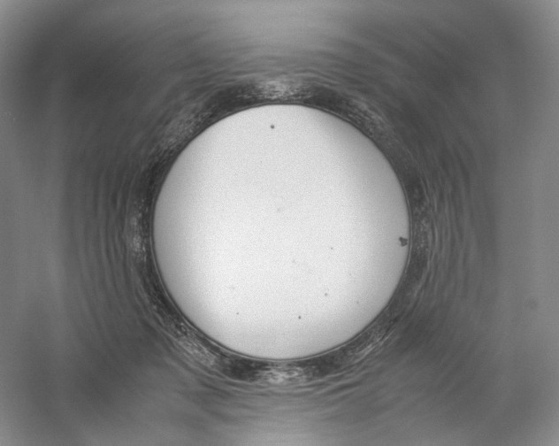 X0000059250317200511111648