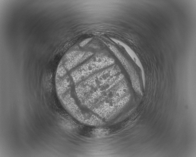 X0000059250319200511111648