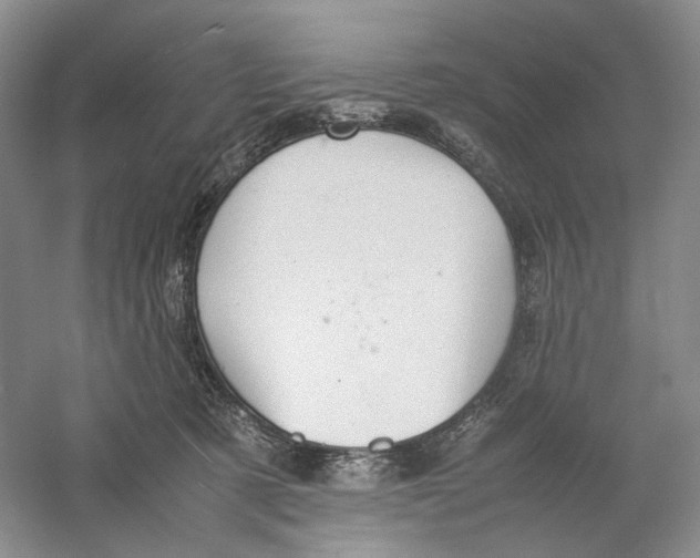 X0000059250321200511111648