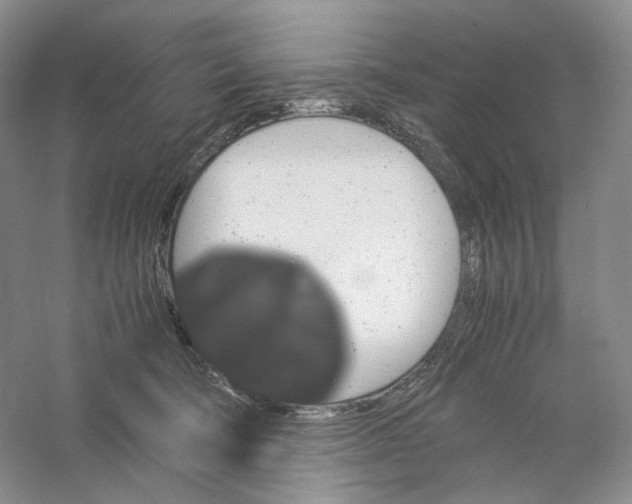 X0000059250322200511111648