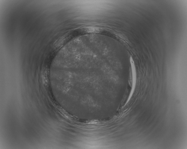 X0000059250325200511111648