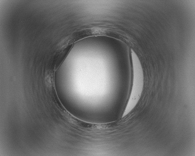 X0000059250329200511111648