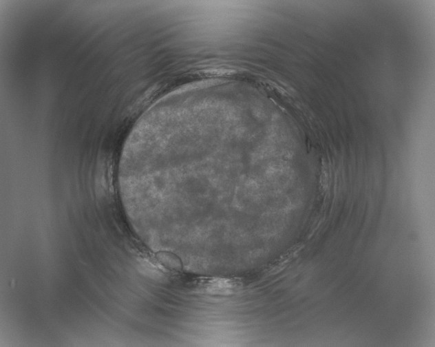 X0000059250330200511111648