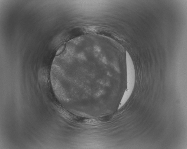 X0000059250331200511111648