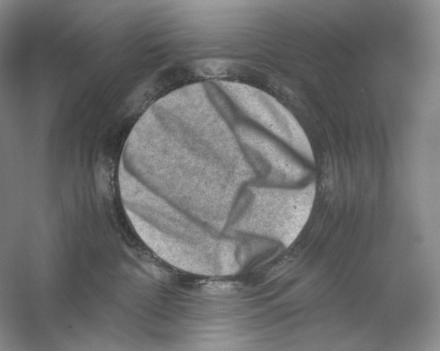 X0000059250332200511111648