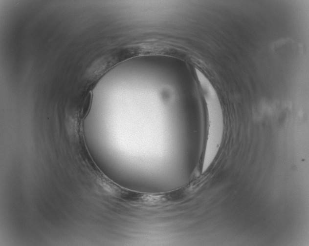 X0000059250333200511111648