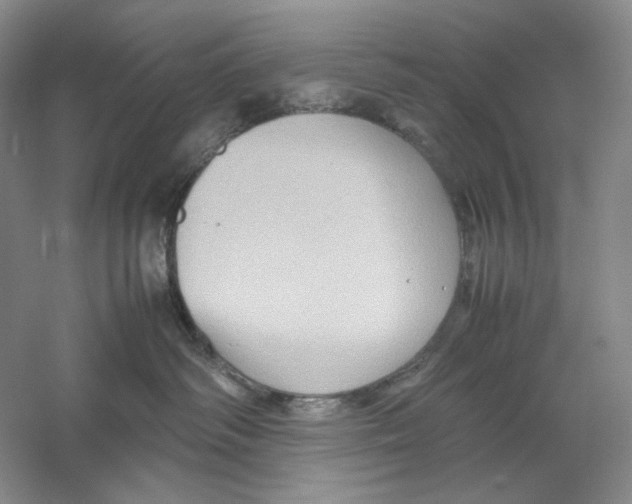 X0000059250334200511111648