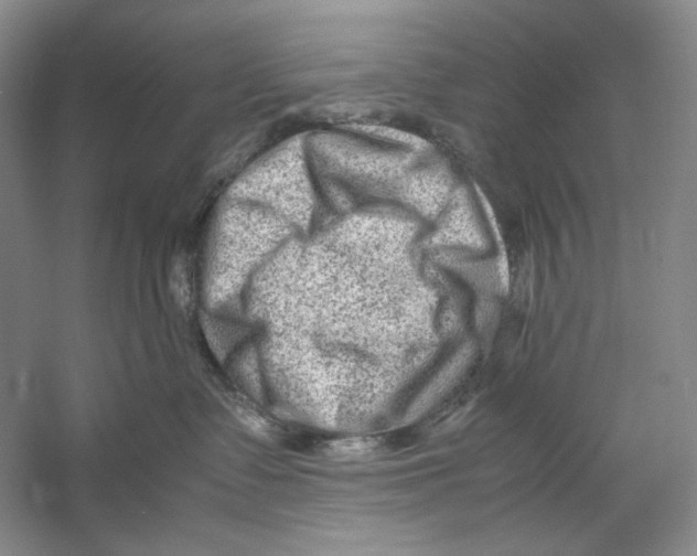 X0000059250335200511111647