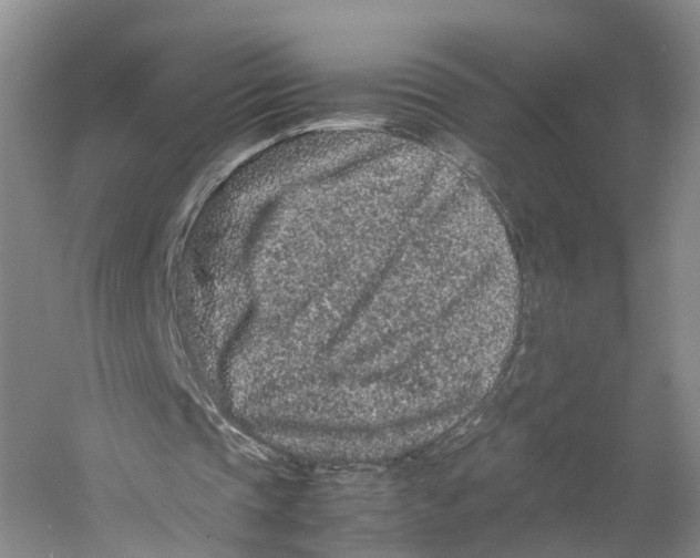 X0000059250337200511111647