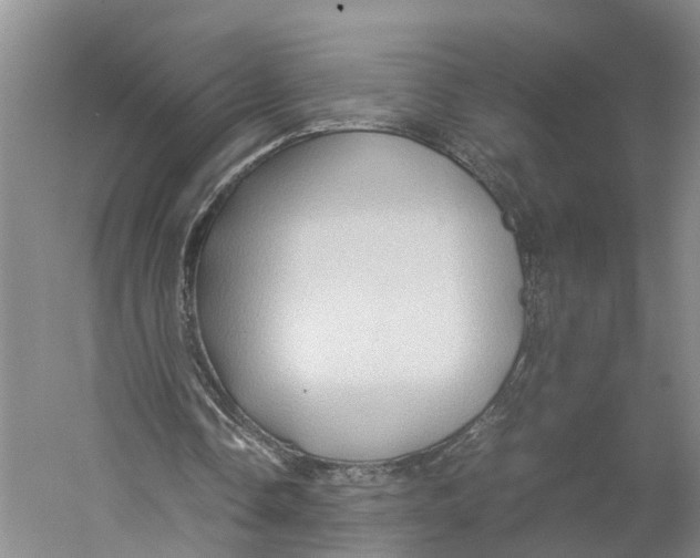 X0000059250338200511111647